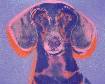 warhols-dog.jpg